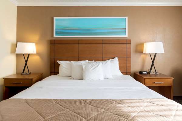 Clarion Hotel Detroit Metro Airport in Romulus