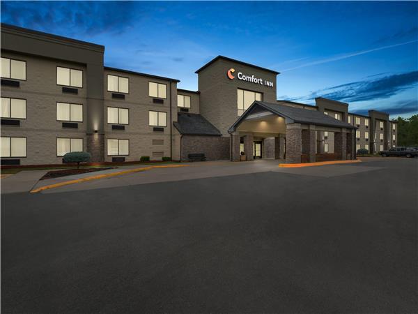 Comfort Inn Metro Airport in Romulus