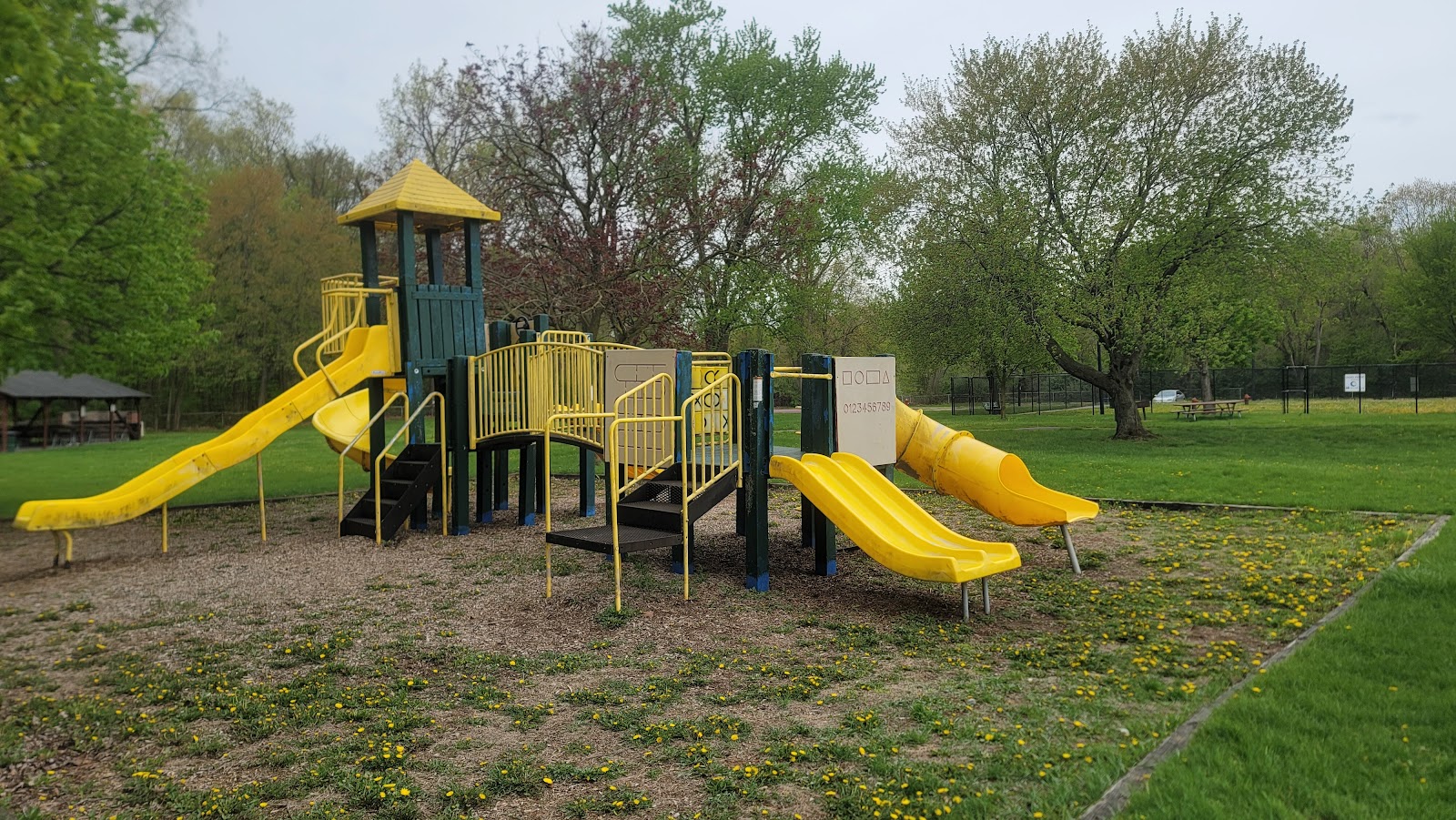 Elmer Johnson Park in