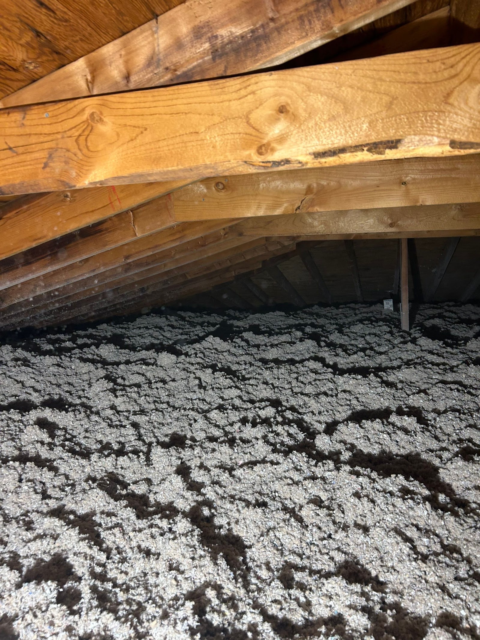 Seal Tech Insulation in Romulus