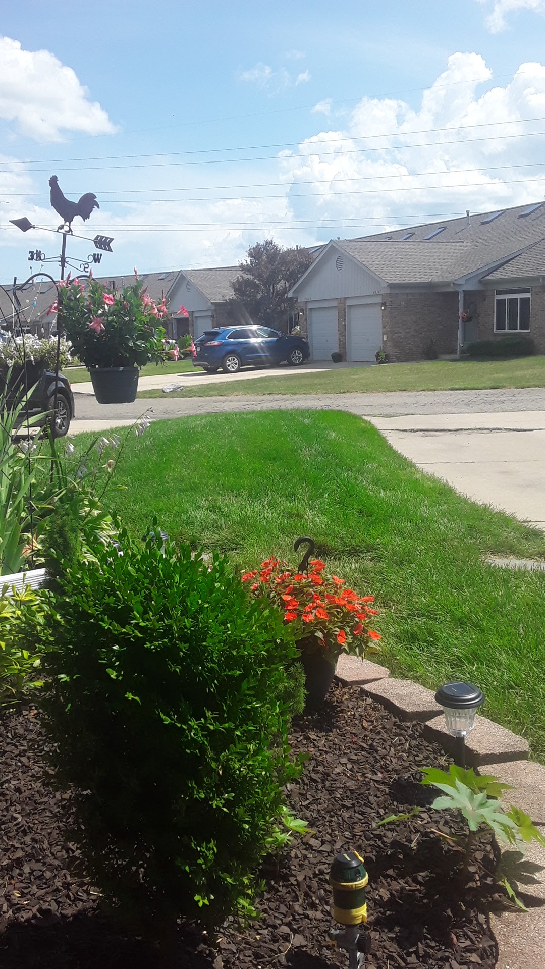 Shay's Greenview Lawn Care in Romulus
