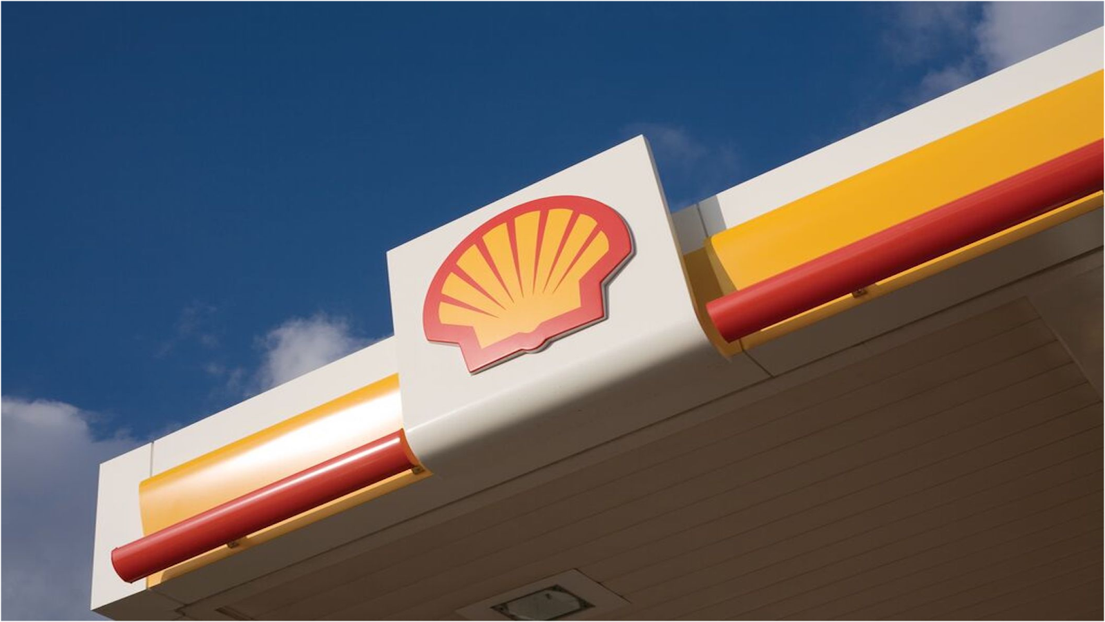 Shell — photo